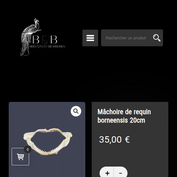 Bibelots & bizarreries - Cabinet de curiosité